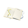 Moleskine Limited Edition Minion Banana! Notebook