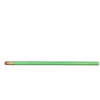 Preppy Prodigy Pencils - Pastel Green
